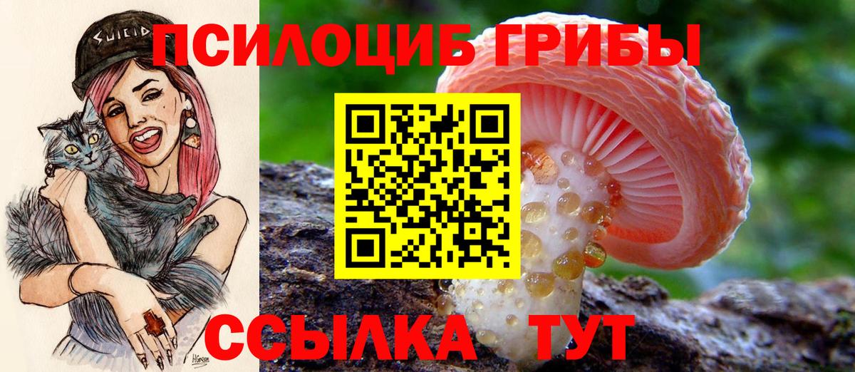 ГАШИШ  Меф МЯУ МЯУ  АМФ кристаллы  НБОМе  Кокаин  Вход с VPN  Кудрово  Каннабис  A-PVP СК кристаллы  Экстази  Мефедрон  