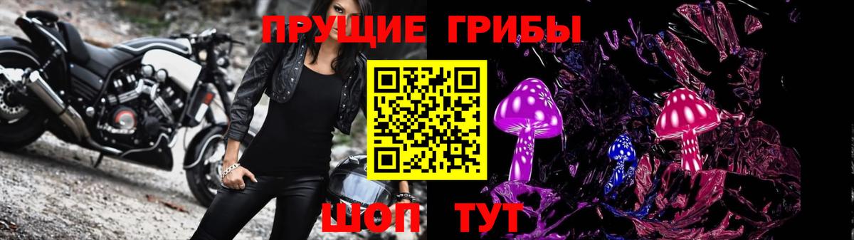 Галлюциногенные грибы GOLDEN TEACHER  Галлюциногенные грибы Psilocybe  Кудрово  Вход с VPN 
